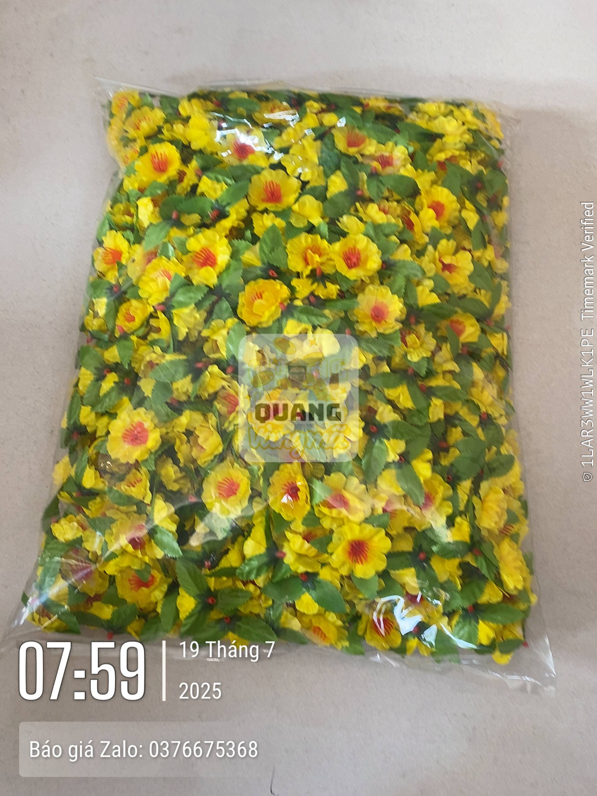 Phụ kiện 30. 31